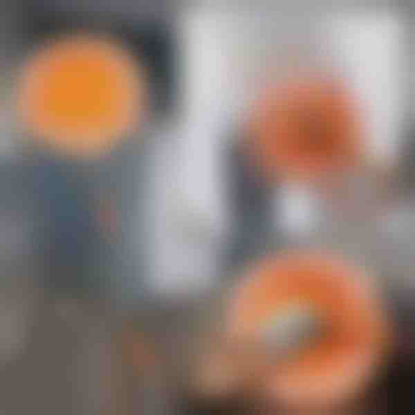 360 Grad drehbarer, einstellbarer Reinigungsmopp | CORALMOP