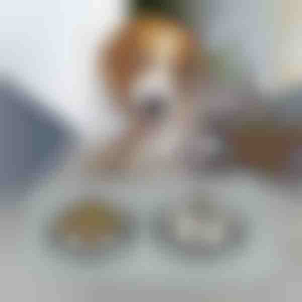 Haustier-Futtermatte | KIBBLEMAT