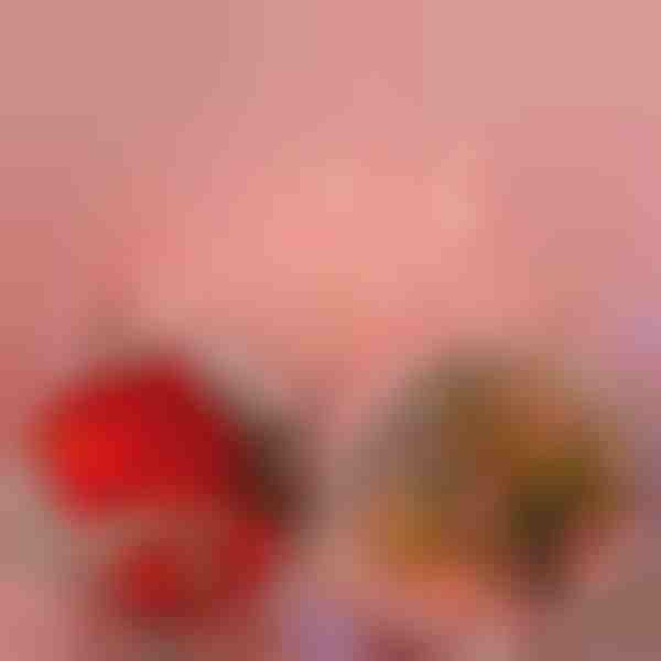 LED-Rosenlichterkette (2m) | LUMEROSE