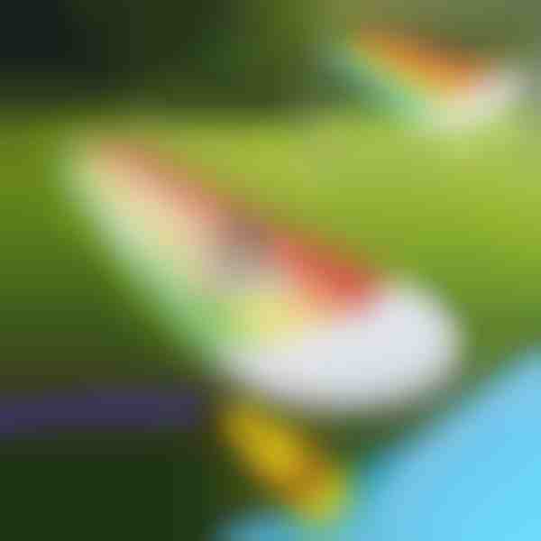 Aufblasbare Wasserrutsche (465x80cm) | REEFLY