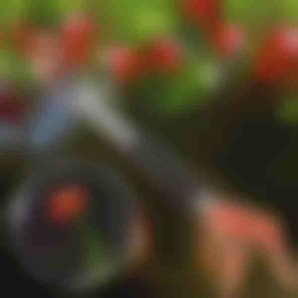 Baumschere | TREESNIP