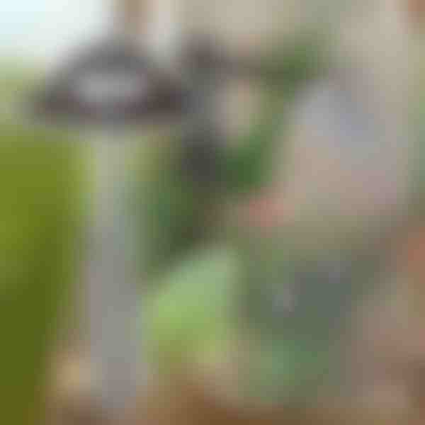 Gartenhacke für mühelose Unkrautentfernung | GRASSOE