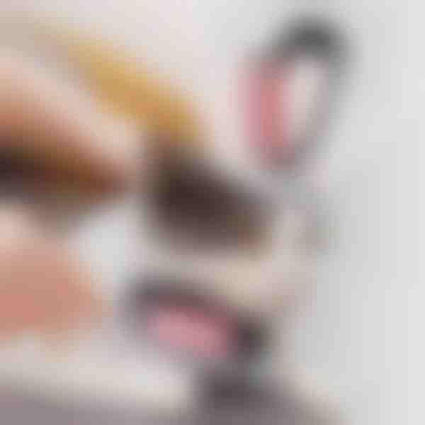 2-in-1 Haustier-Pflegebürste | GATOBRUSH