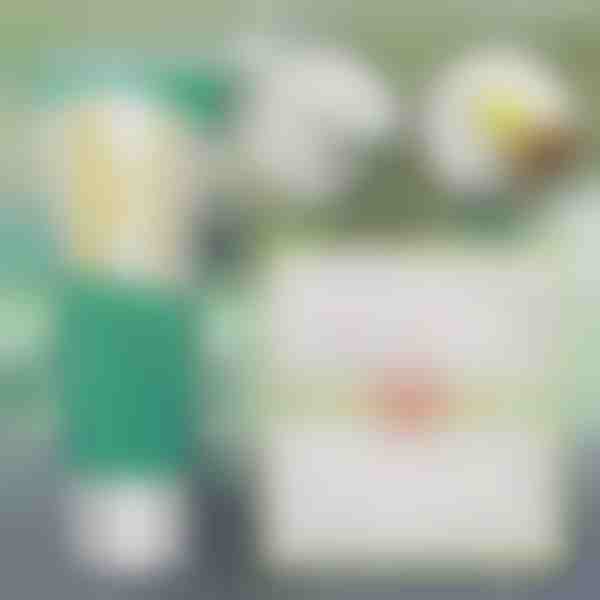 Sofortige Wandreparaturlösung | WALLFIX