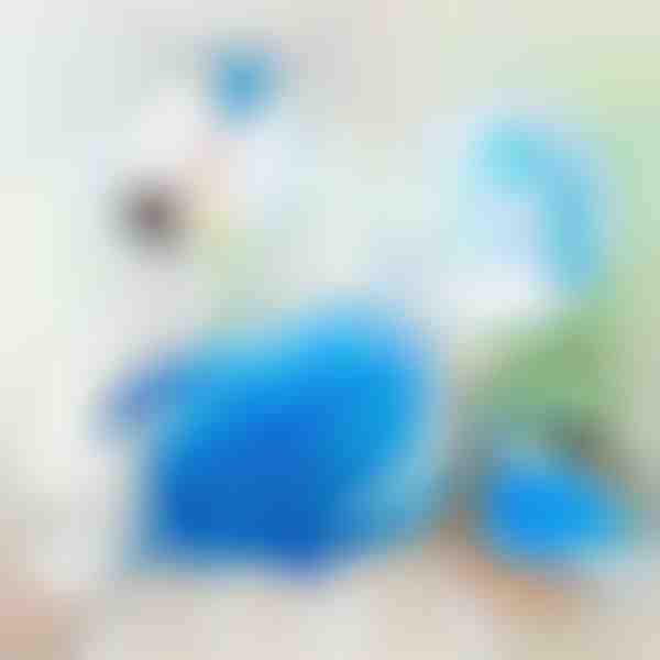 360° drehbare elektrische Staubbürste | DUSTER