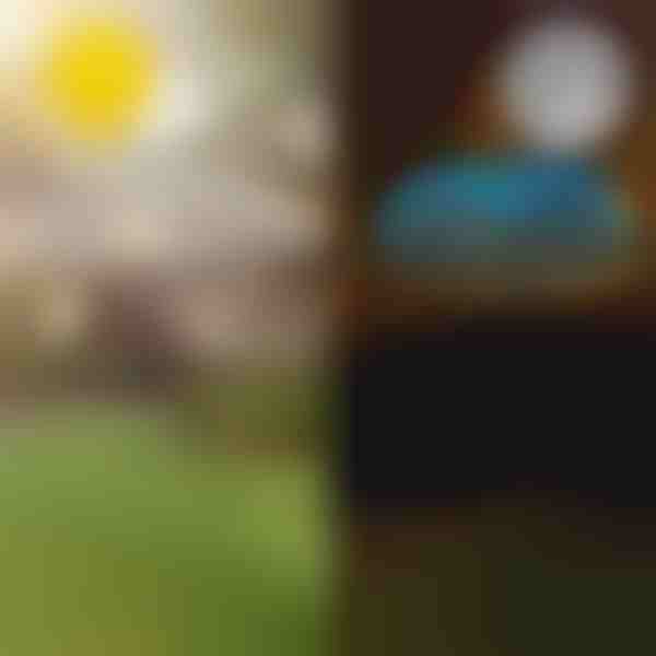 Solar-Tropen-Gartenleuchten | LUMIPALM