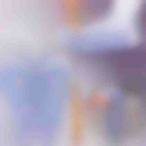 Aktivieren Sie Gesundheitspunkte – Reflexzonen-Socken für die tägliche Massage | FEETRA