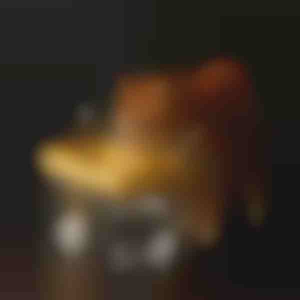 Trinkbrunnen zur Hydration für Haustiere | PETSPRINGLE