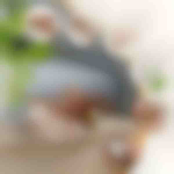 Interaktives flatterndes Vogelspielzeug | CHIRRCAT